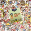 Panini WM 2018 Gold Edition – Alle Sticker + Album 13