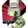The Pokemon Company International Pokemon Despotar-V Tin Box Sommer 2021 (DE) online shopping 5